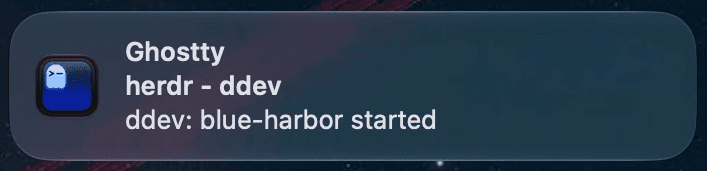En notis från Ghostty om att ett ddev-projekt har startat